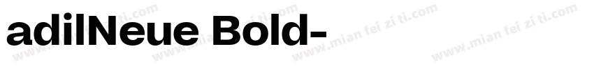 adilNeue Bold字体转换